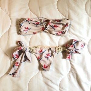 acacia bird of paradise set